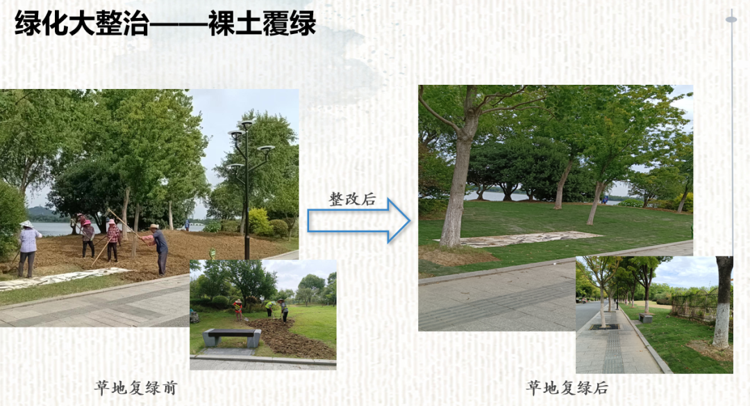 0452ec771205c10f99917d75270e2d4e 7.png