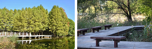 11ab78f1e8a1d383514a1bf8fe331e1a 444.jpg