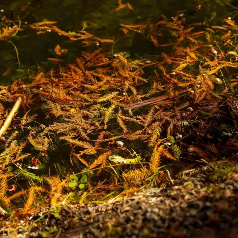 640 (8).jpg